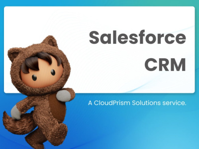 An experienced Salesforce Developer and Salesforce Implementation expert