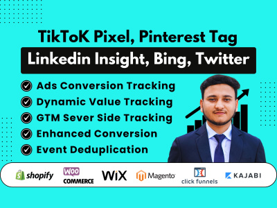 Multiple platforms tracking setup - TikTok Pixel, SnapChat, Bing Ads & more