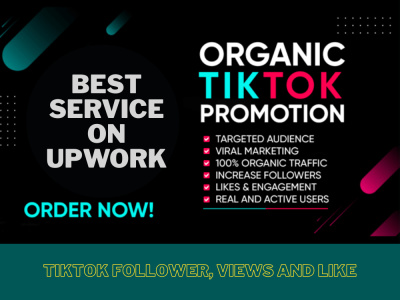 TikTok Follower | Tiktok views | Monetization Setup