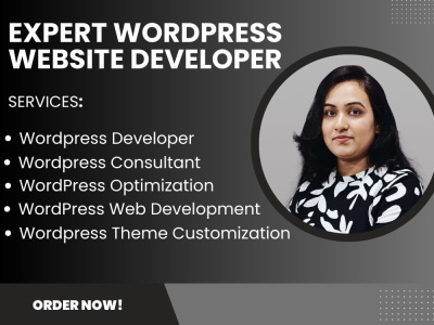 Expert WordPress Developer, WordPress Consultant, WordPress Optimization
