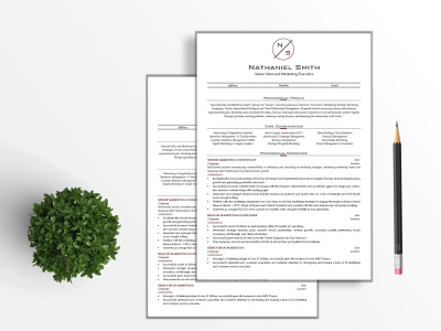 Resume Writing & Design Pro | Executive Resumes That Get Results