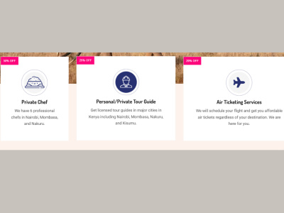You will get a travel assistant/ travel consultant