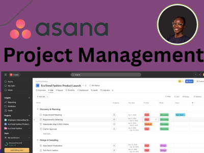 An Asana Workspace Setup & Optimization for Efficient Project Managemen ...