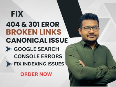 Fix broken links, 301 redirects, 404 errors, indexing and canonical issues