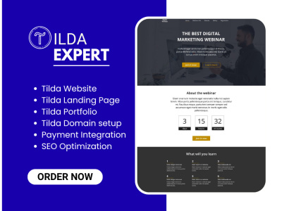 Tilda Website Tilda Landing Page and Redesign, Tilda SEO, Tilda Expert