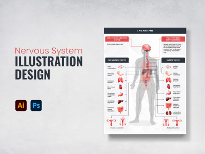 Accurate medical illustrations design that bring complex concepts to life