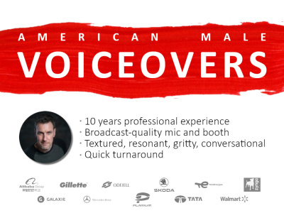 A textured, deep, professional male voice over (general American accent)