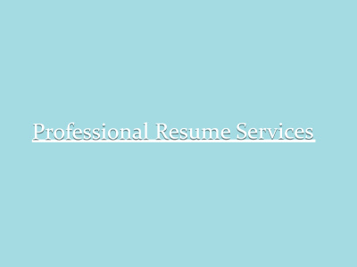 Professional Resume with Specialized Summary