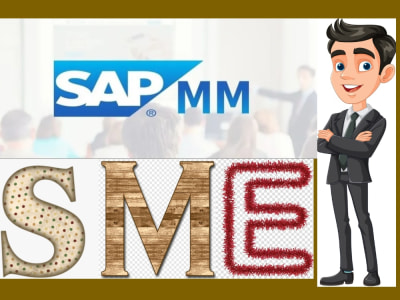 SAP MASTER DATA SME