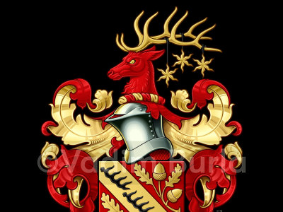 A family coat of arms design in vector format
