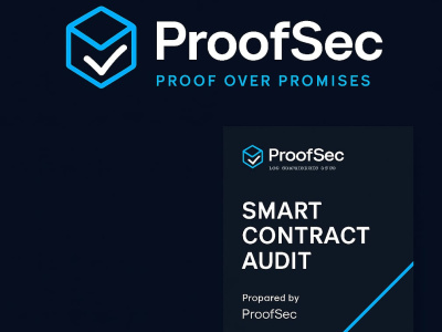 A professional security audit of your Solidity smart contracts