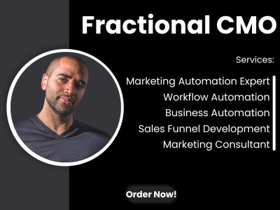 Fractional CMO, Marketing Consultant, Workflow & Business Automation Expert