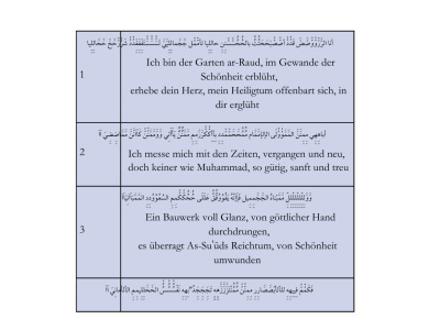 A professional German book translation