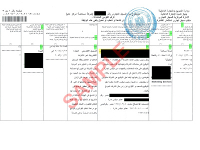 Egypt commercial registry extract for existing companies and translation