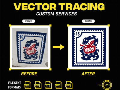 Image to Vector Perfection