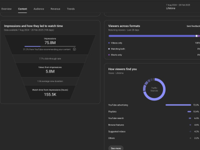 Meta & YouTube Influencer Strategy & Execution for Music Release