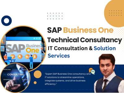 Consultation on sap b1 and IT development
