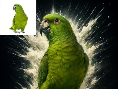 A digital splash portrait from your pet photo