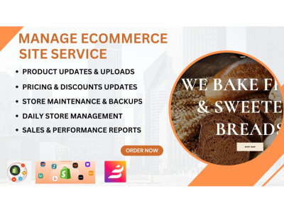 Manage Ecommerce Site service