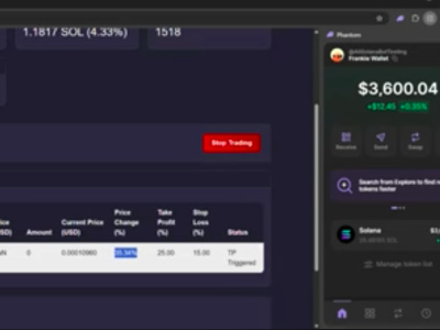 A powerful Solana trading bot, sniper bot, or copy trading bot