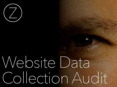 A professional website data collection audit for privacy compliance