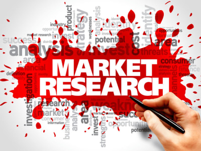 Comprehensive market research and analysis for your business