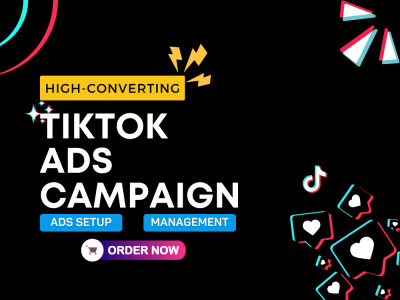 Result Driven TikTok Ads Media Buyer | Tiktok Ads(advertising) Specialist