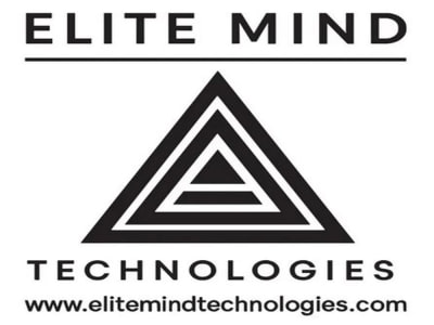 Professional Statement of Work for Telecom and SaaS Projects