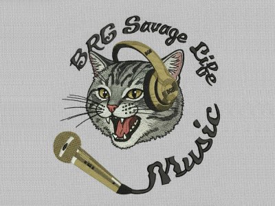 Your AI file to DST embroidery format professionally