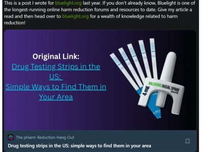 A fully completed SEO article, blog, or long-form writing project.