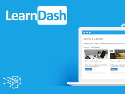 A professional LearnDash, LearnPress LMS website