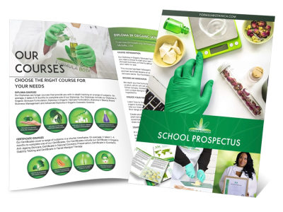 Online course creation, training development, eLearning, Curriculum design