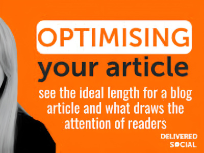 A detailed, high-ranking long-form SEO article for your niche