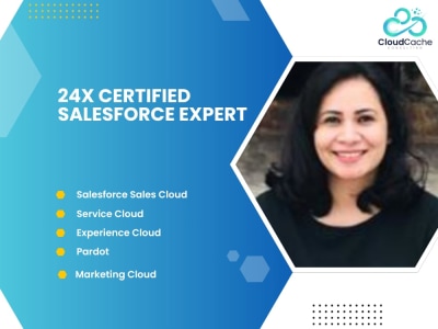 Salesforce Development and Customization