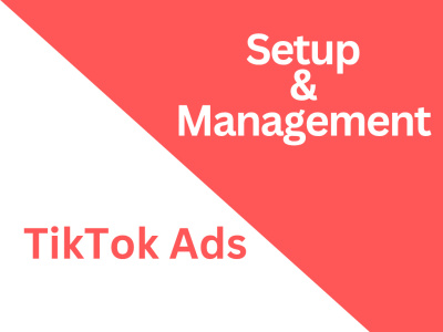 TikTok Ads Setup & Management | Optimization Expert |TikTok Ads Manager