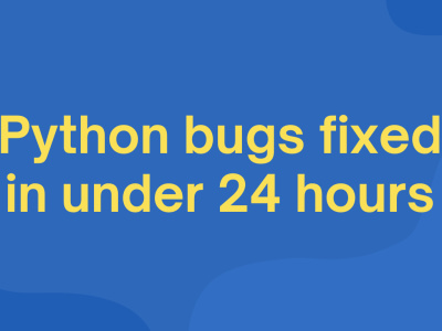 Your Python bugs fixed in under 24 hours