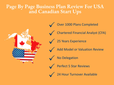 Page by Page Critique of Your Start Up Business Plan By a CFA