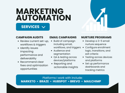 Email Campaign Setup + Audit – Marketo, Braze, HubSpot, Brevo & Mailchimp