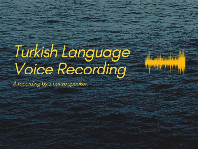 Turkish Voice Recording | Native Turkish Speaker | High Quality Audio