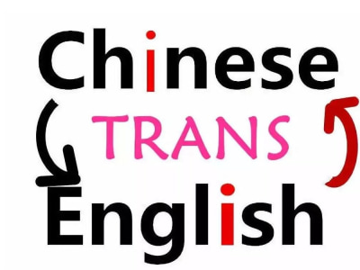 Professional chinese and english translation Service