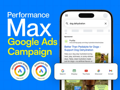 Google Ads Performance Max Specialist | Scale Sales. ROI & Conversions