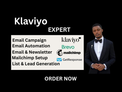 A professionally designed Klaviyo email newsletter template