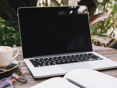 A Personal Virtual Assistant, Wellness Virtual Assistant, or Creative VA.