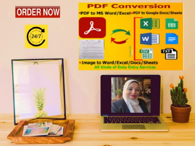 Microsoft Excel Data Entry&Data Organization Services