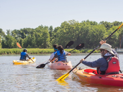 Expert Environmental Education Grant Writing and Strategy