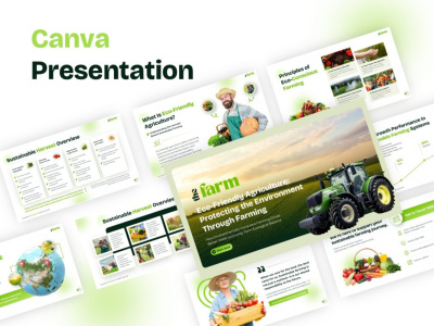 Professional Canva Presentation, Pitch Deck, or Business Slides