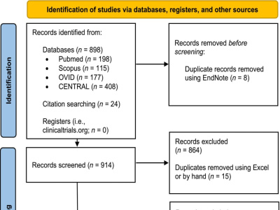 A publication-ready systematic review