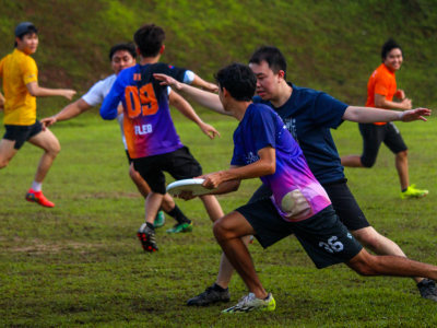 A culled and edited photo album