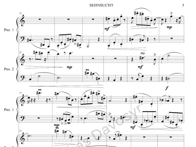 A professional sheet music transcription of any song.