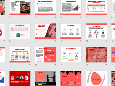 A Professional Pitch Deck for Angel & VC Investors and Loan in 1 Day